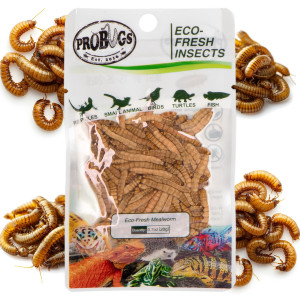 ProBugs Eco-Fresh Mealworm 15 x 20g - świeże larwy mącznika 15 saszetek