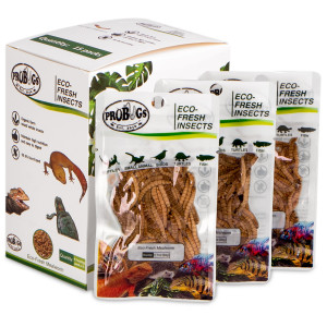 ProBugs Eco-Fresh Mealworm 15 x 20g - świeże larwy mącznika 15 saszetek