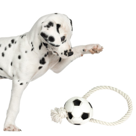 Pet Nova zabawka gumowa - piłka futbolowa na sznurku 26cm
