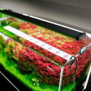 Chihiros B-Series B60 LED Light with Commander - lampa led sterowana aplikacją 60-80cm