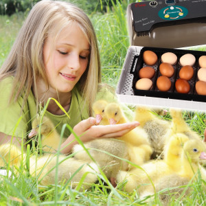 Kruger Meier ProNestix 12  - inkubator z termostatem i LED na 12 jaj