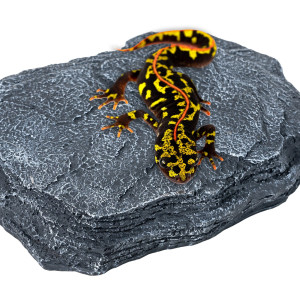 Repti-Zoo Dimmer Heat Rock 12W - kamień grzewczy z regulacją temperatury