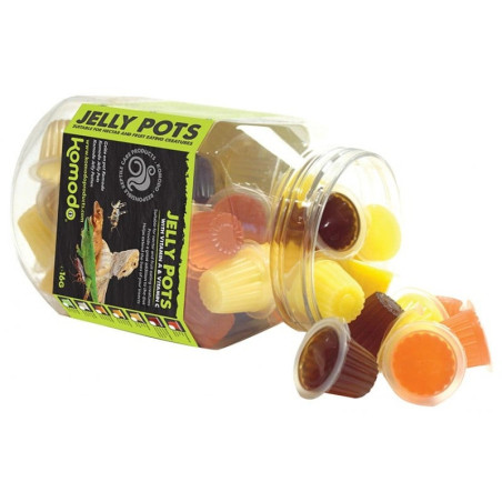 Komodo Jelly Pot  Mixed Flavours  Jar - miks pokarmów w żelu 60szt.