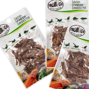 ProBugs Eco-Fresh Cricket 15 x 6g - świeże świerszcze 15 saszetek