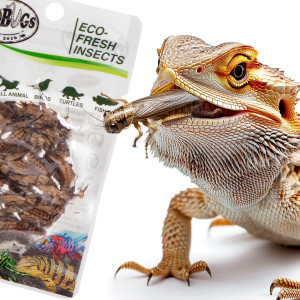 ProBugs Eco-Fresh Cricket 15 x 6g - świeże świerszcze 15 saszetek