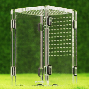 Terrario Mantis Area S - terrarium akrylowe dla modliszek i owadów