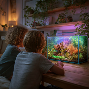 Yusee Ocean Coral - skała koralowa dekoracja