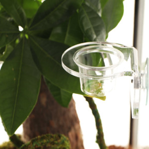 Terrario Gecko Bar Invisible - miska wisząca