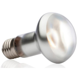 EXO TERRA Intense Basking Spot 50W (żarówka grzewcza)