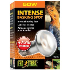 EXO TERRA Intense Basking Spot 50W (żarówka grzewcza)