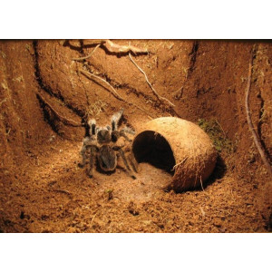 Repti-Zoo Podłoże z włókien kokosa 8l