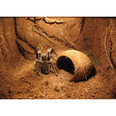 Repti-Zoo Podłoże z włókien kokosa 8l