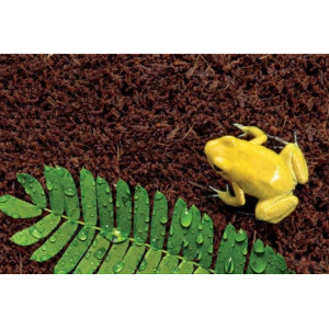 Repti-Zoo Podłoże z włókien kokosa 8l