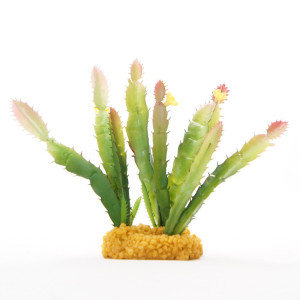 Yusee Roślina - Kaktus Wysoki 12x10x18