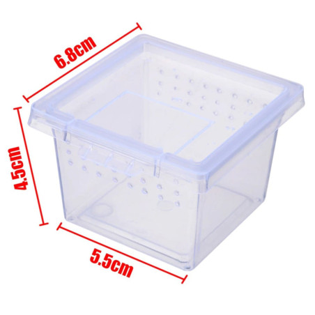 Terrario Insect Box Mini - terrarium dla owadów 6,5 x 6,5 x 4,5 cm