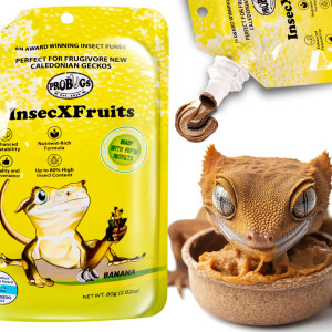 ProBugs InsecXFruits 80g - kompletna dieta pokarm i witaminy w żelu dla gadów