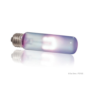 Exo Terra Sun-Glo 25W - żarówka dzienna