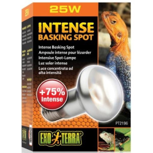 EXO TERRA Intense Basking Spot 25W (żarówka grzewcza)