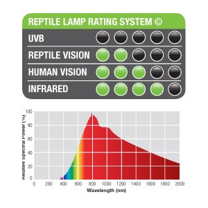 EXO TERRA Intense Basking Spot 25W (żarówka grzewcza)