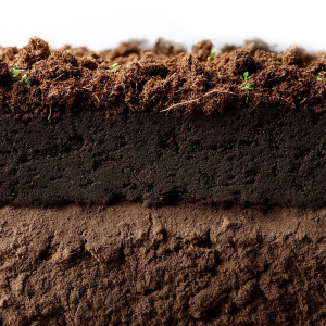 Aventerra Sweden Tropica Peat Soil 4l - torf drobny do terrarium