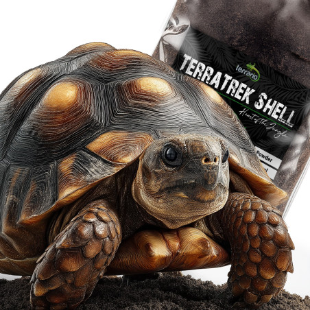 Terrario TerraTrek Shell 15l - podłoże dla małych żółwi lądowych