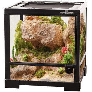 Repti-Zoo Glass Terrarium 30x30x32cm - szklane terrarium z metalową siatką