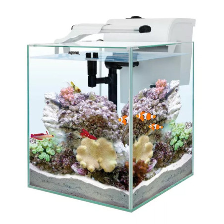 Aquael Nano Reef Duo 35 Biały 2.0 – zestaw akwariowy morski
