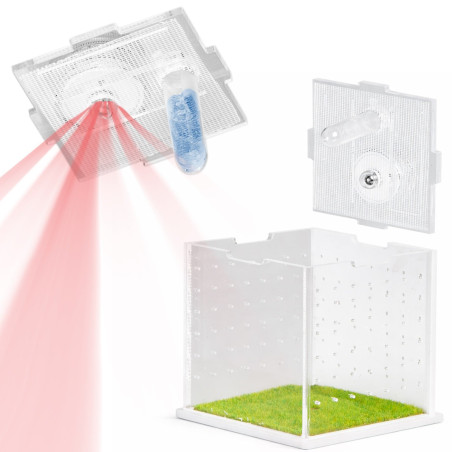 Terrario SpiderNook L - mini terrarium akrylowe z oświetleniem