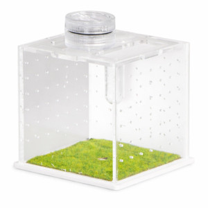 Terrario SpiderNook L - mini terrarium akrylowe z oświetleniem