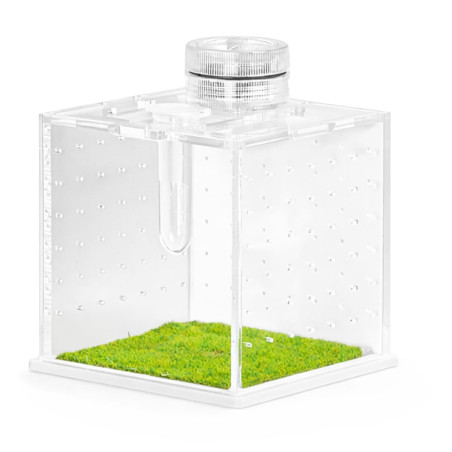 Terrario SpiderNook L - mini terrarium akrylowe z oświetleniem
