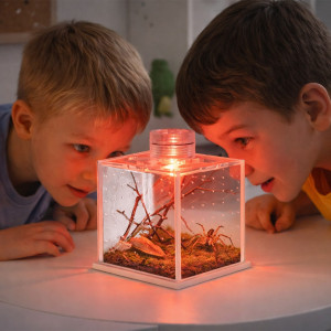 Terrario SpiderNook M - mini terrarium akrylowe z oświetleniem