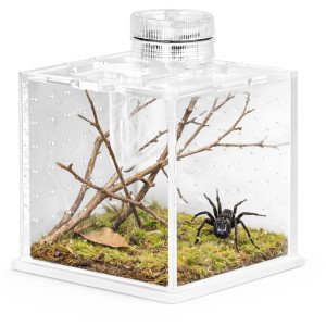 Terrario SpiderNook M - mini terrarium akrylowe z oświetleniem