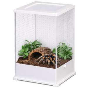 Terrario TerraLoom M - terrarium 10x8x15cm