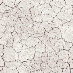 Terrario Great Sunland 1kg - biała glina do terrarium