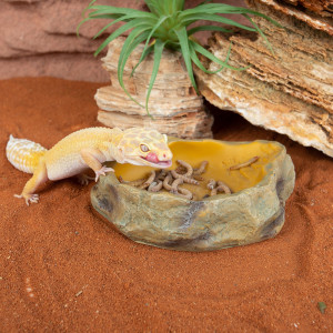 Repti-Zoo Vita-Calcium Shaker - kubek do obsypywania owadów karmowych