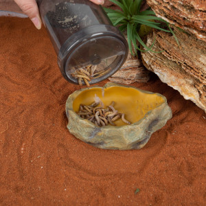 Repti-Zoo Vita-Calcium Shaker - kubek do obsypywania owadów karmowych