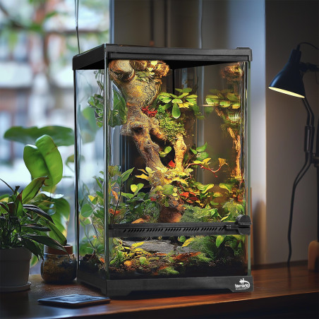Terrario Oasis Verde 5 - terrarium 20x20x30cm