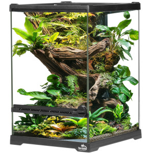 Terrario Oasis Verde 5 - terrarium 20x20x30cm