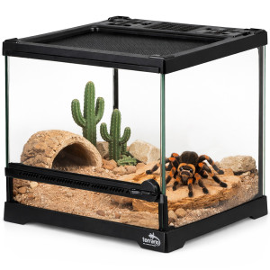 Terrario TerraVista Luma - terrarium 20x20x20cm