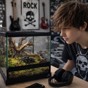 Terrario TerraVista Luma - terrarium 20x20x20cm