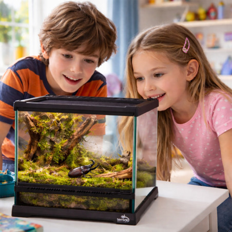Terrario TerraVista Luma - terrarium 20x20x20cm