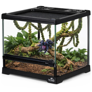 Terrario TerraVista Luma - terrarium 20x20x20cm