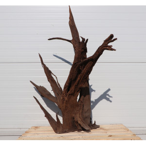 Malaysian Driftwood Giant XXXL - korzeń 150cm