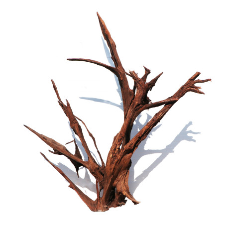 Malaysian Driftwood Giant XXXL - korzeń 150cm