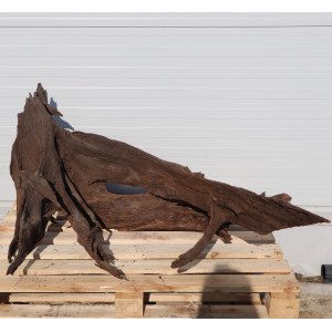 Malaysian Driftwood Giant XXXL - korzeń 150cm