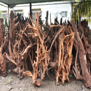 Malaysian Driftwood Giant XXXL - korzeń 150cm