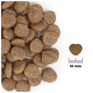 Comfy Appetit Vita Superfood Lamb 12kg - monobiałkowa karma dla psów dorosłych i szczeniąt