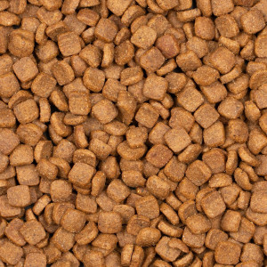 Voskes Adlut Sterilized Salmon 7kg - karma dla kotów wysterylizowanych