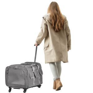 Furrever Friends Dogmobile - transporter na kółkach dla kota i psa