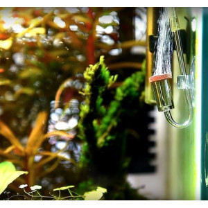 Neo Diffuser Original Clip L - dyfuzor CO2 z kolankiem